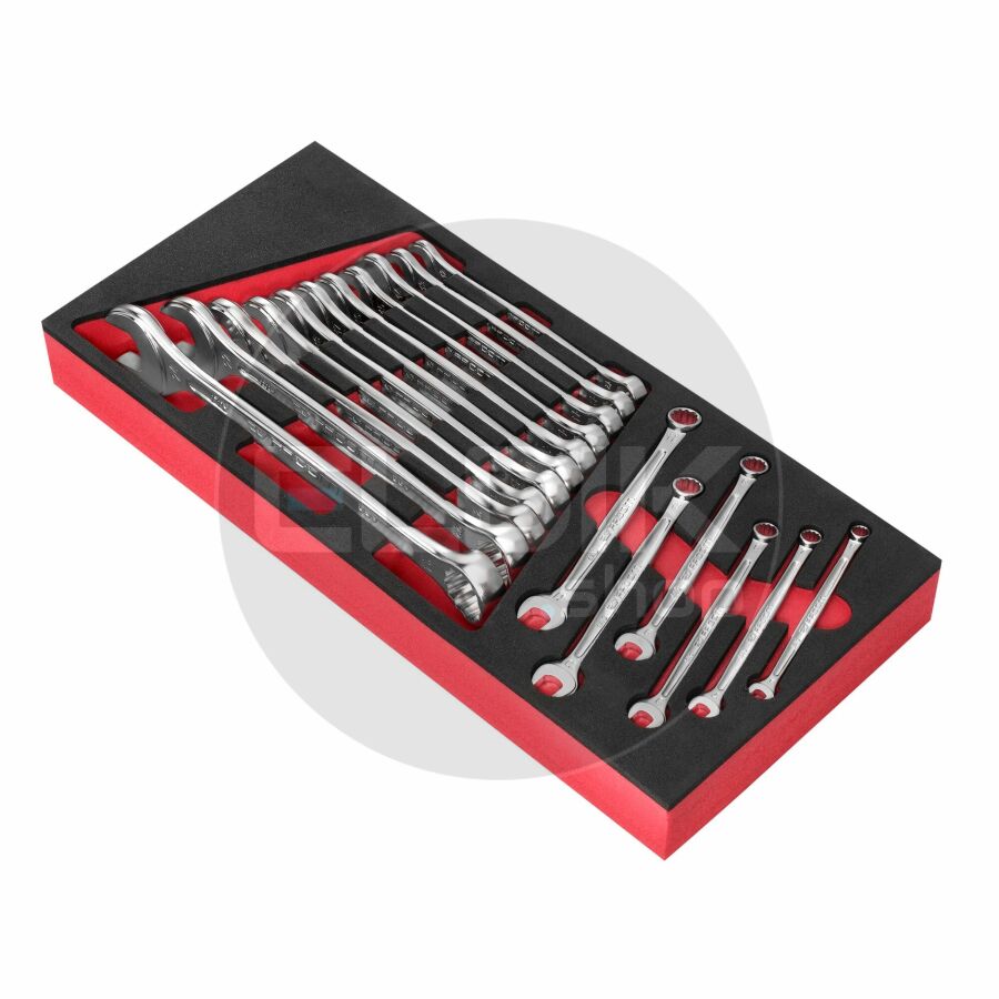 Facom MODM.440-1 Foam Module 17 Delige Ringsteeksleutels