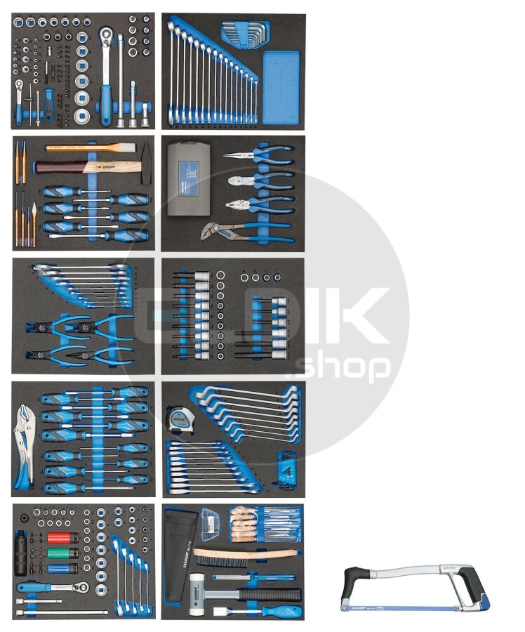 Gedore TS-308 Set van 10 modules in Foam Inlays | 308 Delig - 2956535