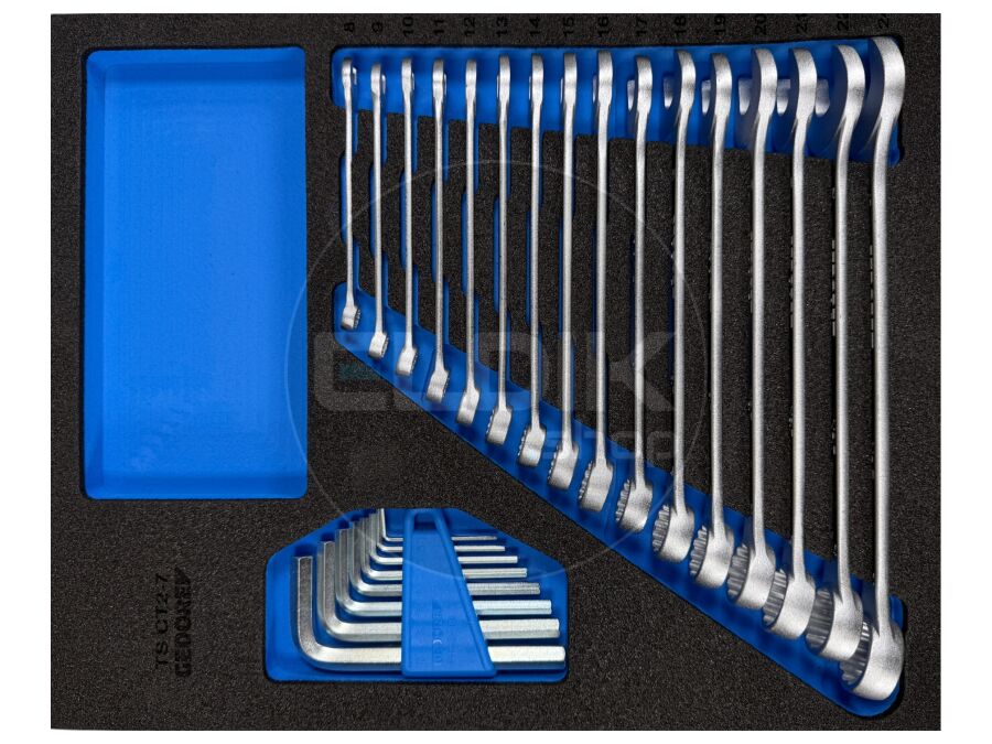 Gedore TS CT2-7 Foam Module 24 Delige Ringsteek - Stiftsleutels - 2957213