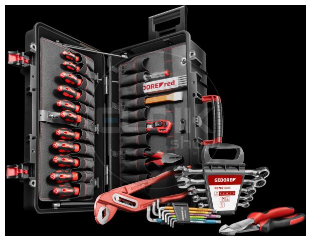 Gedore Red R21902124 124 Delige Gereedschapset - MEISTER XXL - Though Case - 3301641